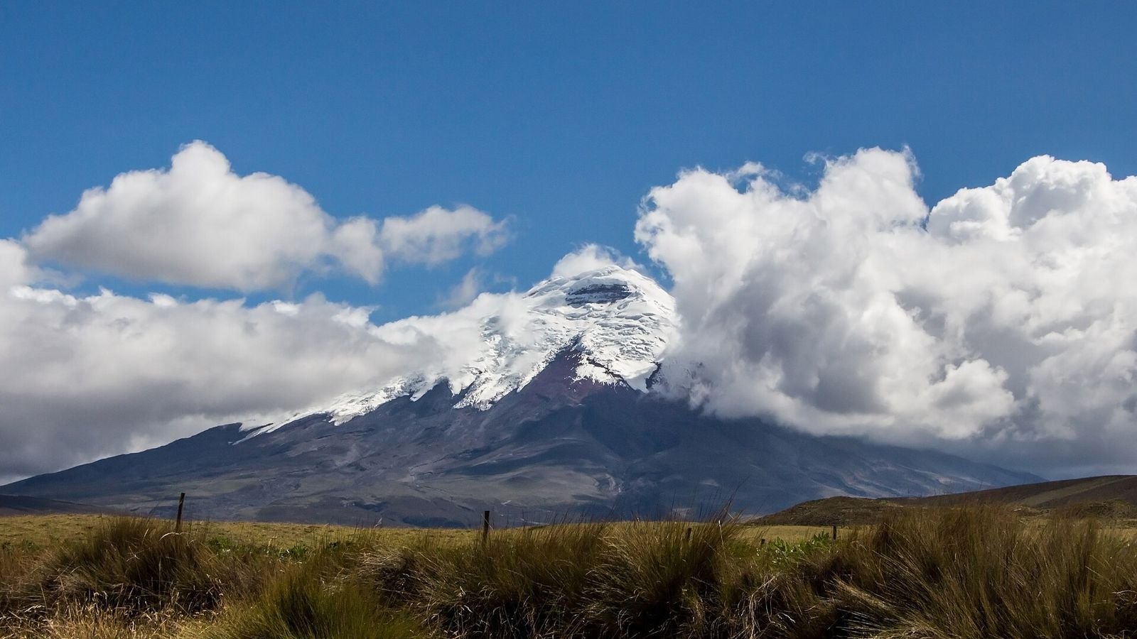 The snow-capped cone of Cotopaxi, Ecuador